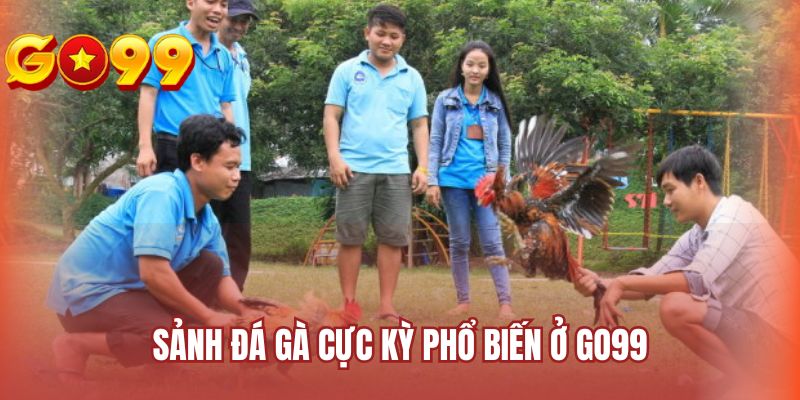 Sảnh đá gà cực kỳ phổ biến ở GO99